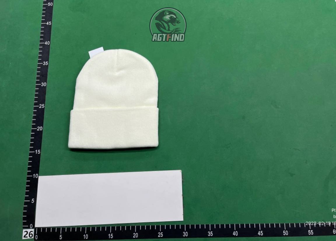 Lacoste Beanie