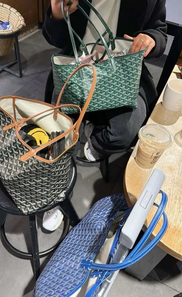 Goyard bag