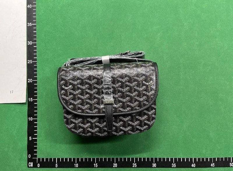Goyard Saint Louis PM Crossbody Bag [10+ Colors] -1
