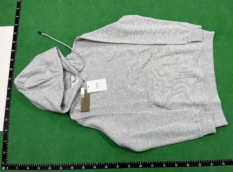 Dior CD Icon Hoodie -1