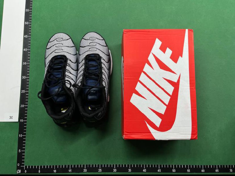 Nike Air Max Plus TN Sneakers -1
