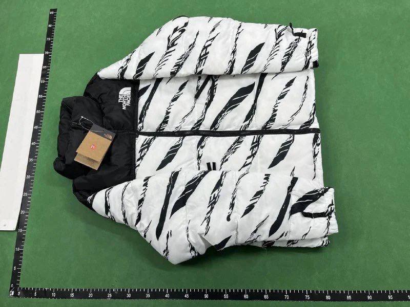 The North Face Nuptse Down Jacket -1