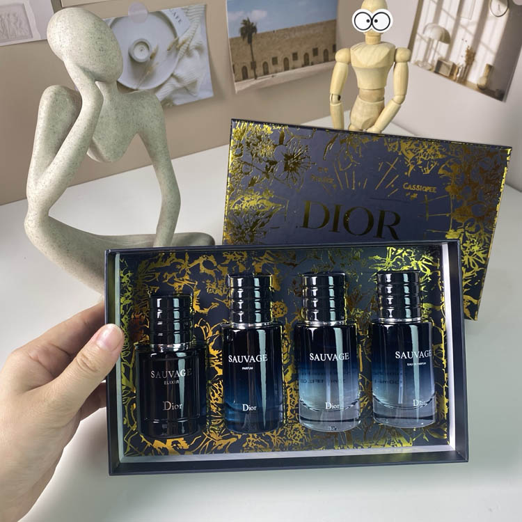 Dior Gold Box Wilderness Medium 4-piece Set-3448                   -2